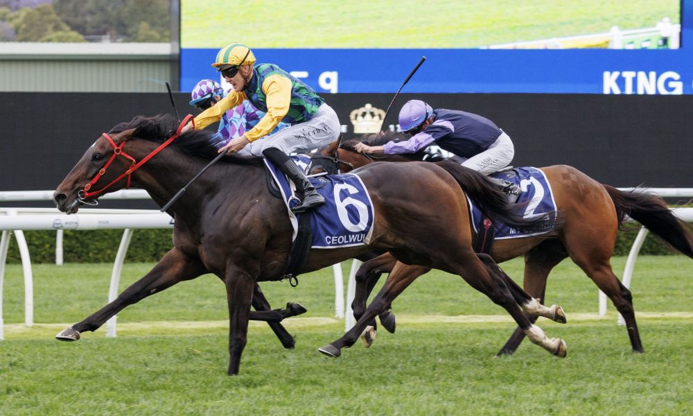 了传统的中 了传统的中