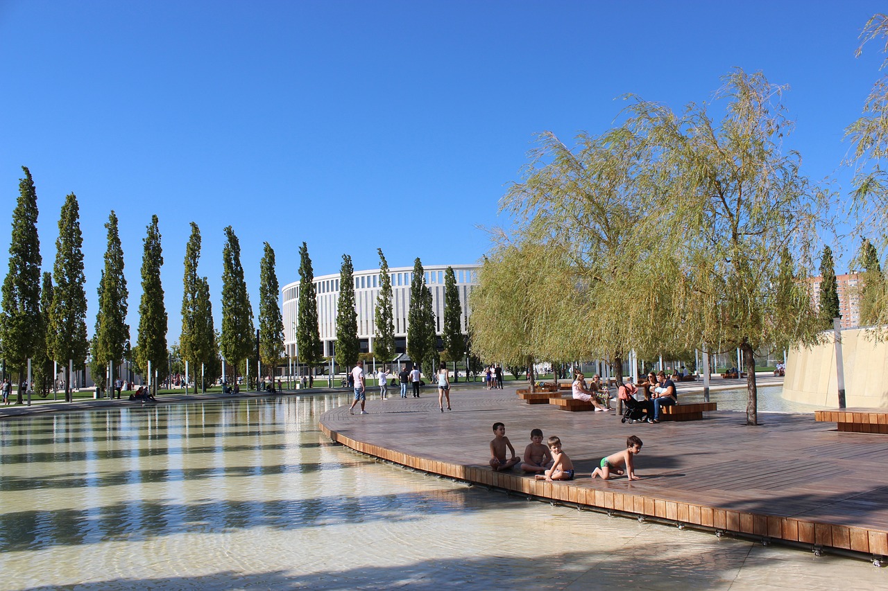 的综合实力 的综合实力