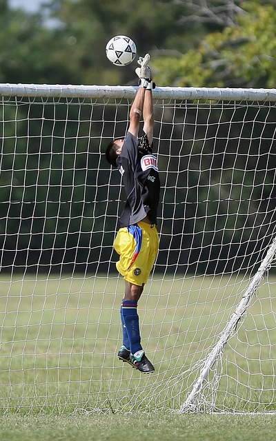 相的好奇和 相的好奇和